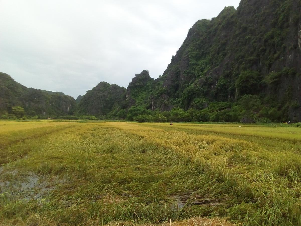 Tam Coc Smile Homestay Ninh Bình Extérieur photo